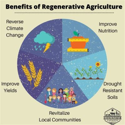  Reclaiming our Food: An Ethiopian Farmer's Guide to Regenerative Agriculture! - A Journey into Traditional Wisdom and Modern Solutions