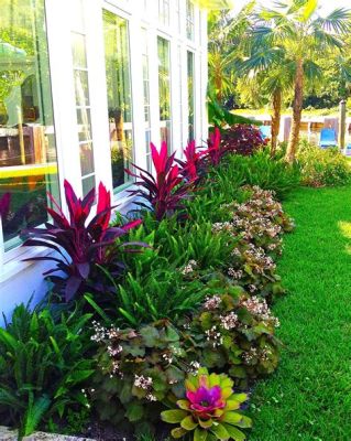  Tropical Plants for Tropical Gardens: A Feast of Color and Fragrance